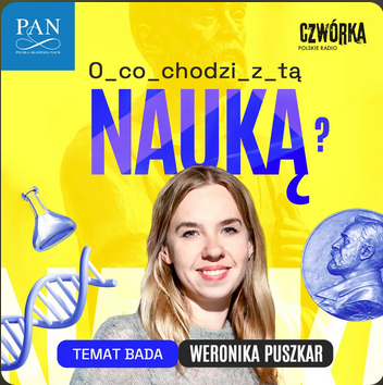 Zrzut ekranu 2026 03 09 105229